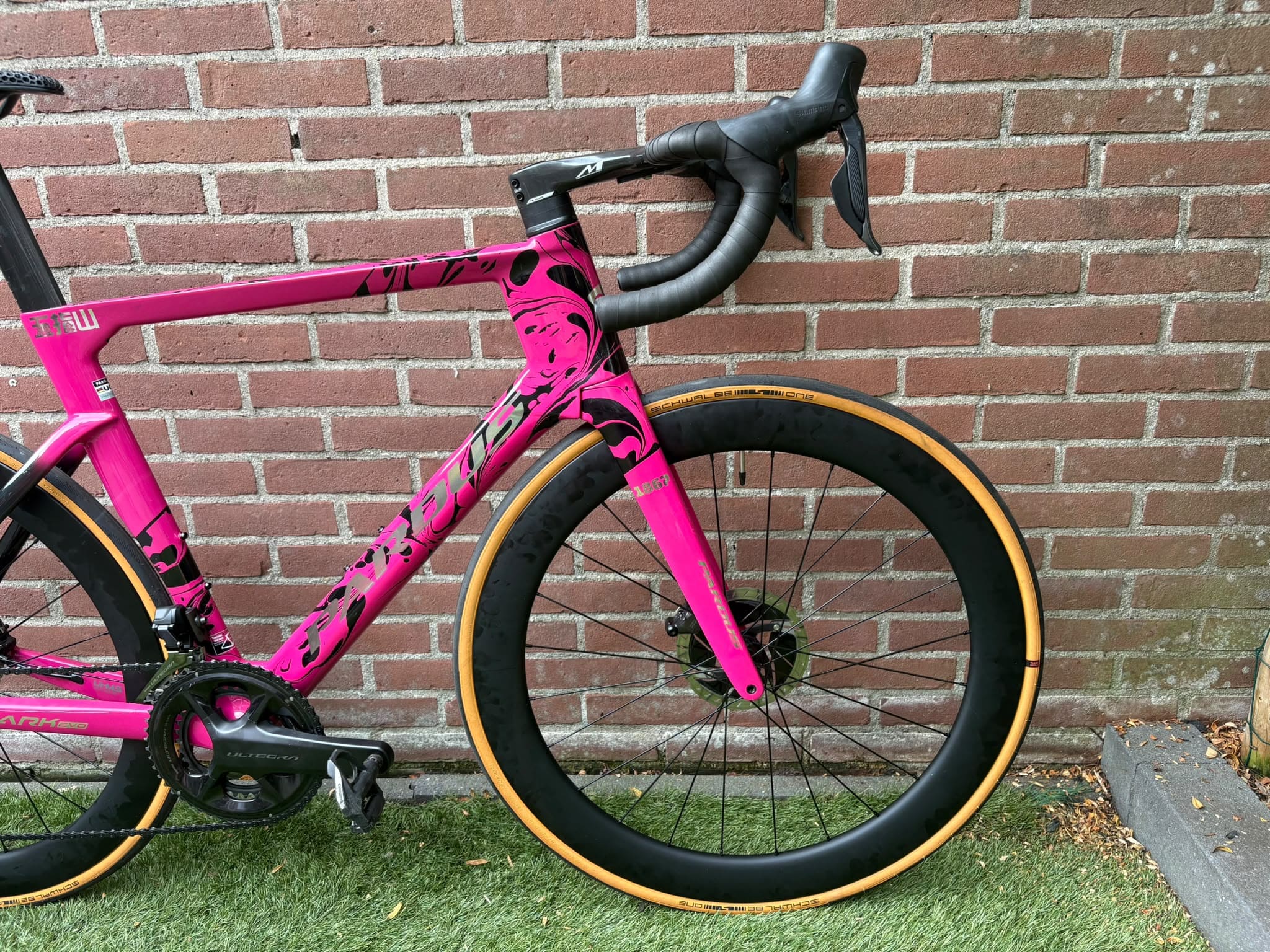 Pardus Spark EVO Ultegra Di2 โ photo 3