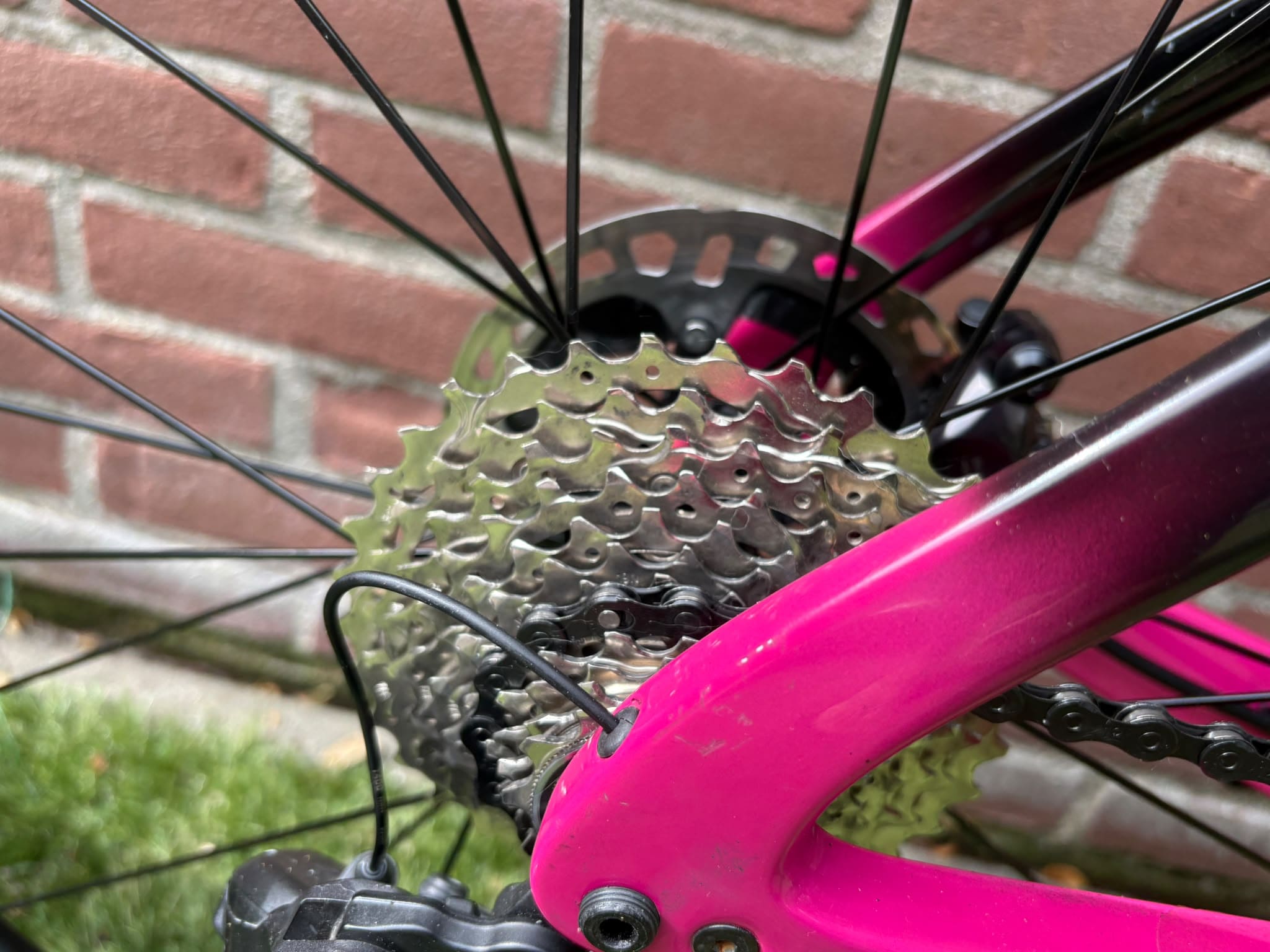 Pardus Spark EVO Ultegra Di2 โ photo 13